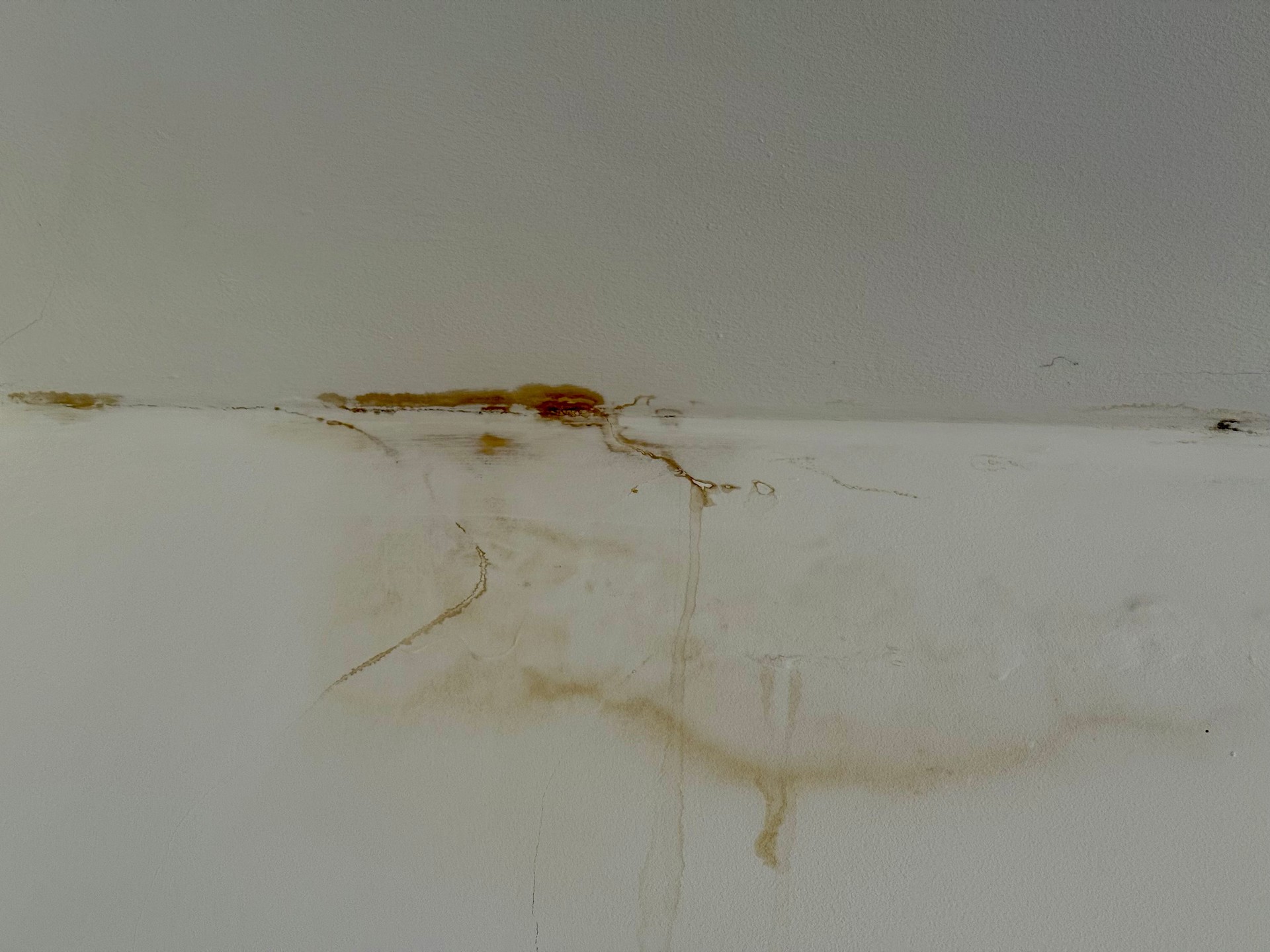 Leaking pipe